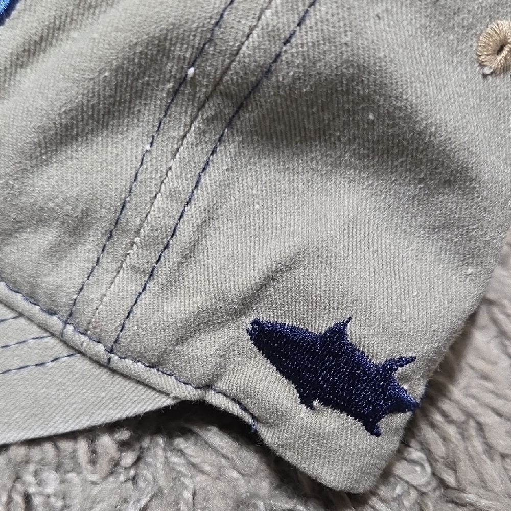Gray Cap - Picture 4 of 4
